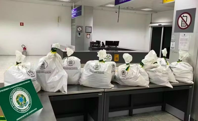 Quem trabalha na Vigilância Agropecuária Internacional (Vigiagro) costuma encontrar uma série de itens um tanto quanto incomuns nas bagagens de quem chega ao Brasil. Reprodução: Flipar