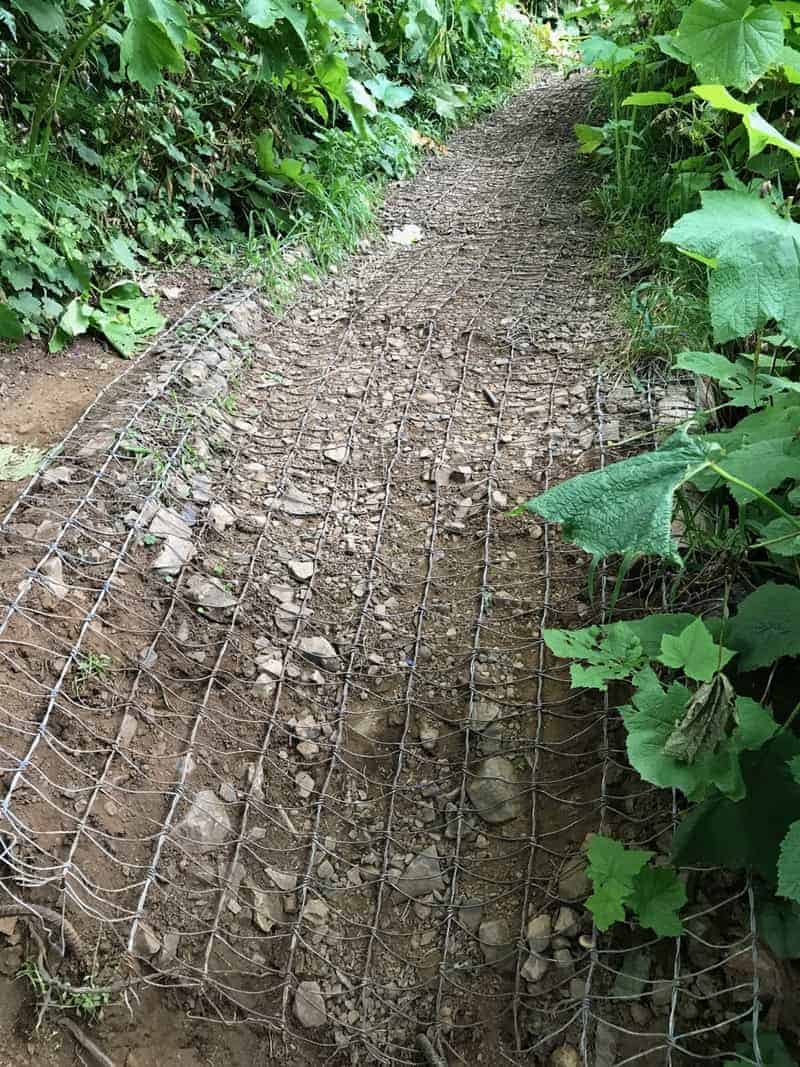 Imagem mostra arame colocado na trilha, que causou o ferimento no cachorro Reprodução/Facebook