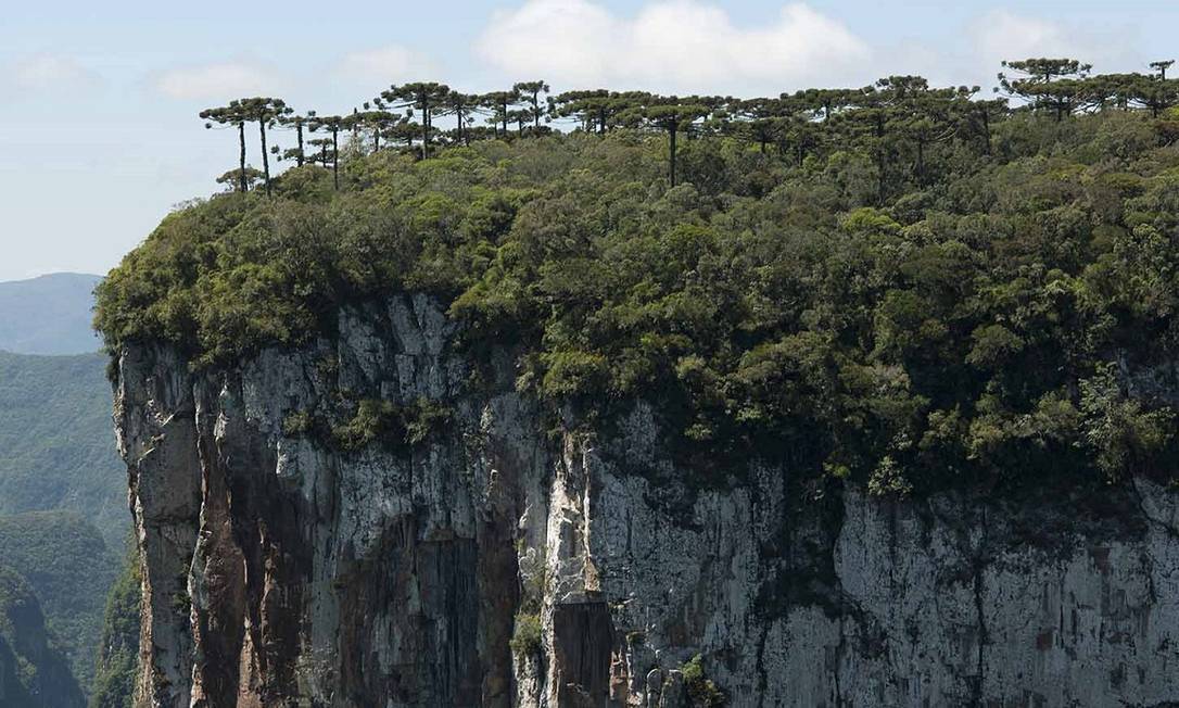 Parque Nacional Aparados da Serra, no Rio Grande do Sul. Foto: RENATO SOARES / Ministério do Turismo / Divulgação