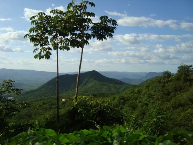 A Serra da Ibiapaba tem características especiais no meio ambiente, o que a torna naturalmente adequada para atividades agropecuárias. 