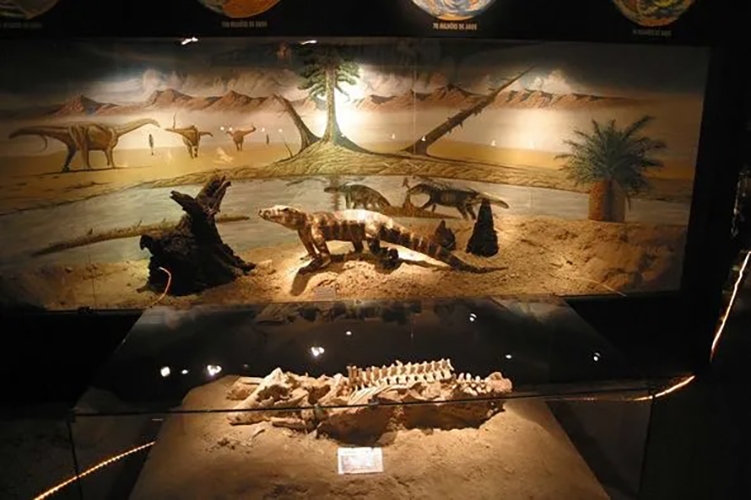 De acordo com o SGB, na área foram descobertos fósseis de grandes carnívoros terópodes, como o Abelissauro (Abelisaurus comahuensis), com cerca de oito metros de altura, além de crocodilomorfos, como o Uberabasuchus terrificus Reprodução: Flipar