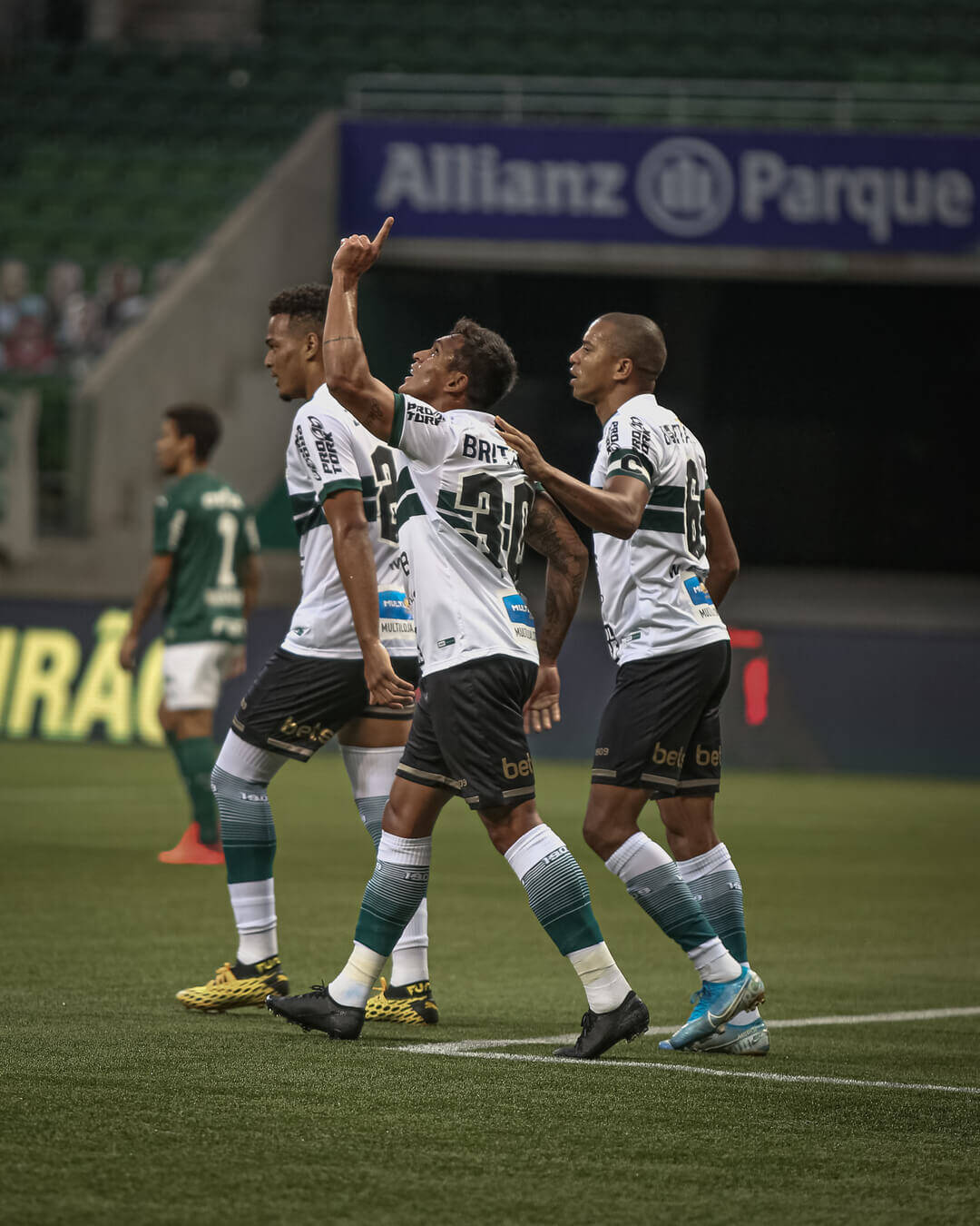 Palmeiras x Coritiba. Foto: Reprodução/Instagram