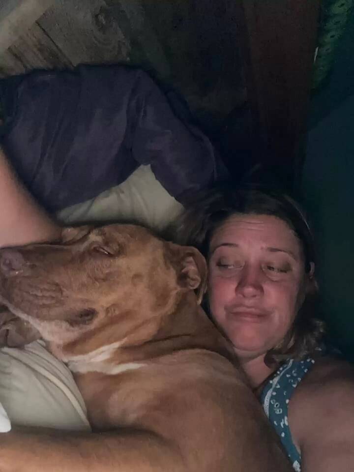 Julie e o marido acordaram e perceberam que havia um cachorro estranho na cama junto com eles. Foto: Julie Thorton Johnson