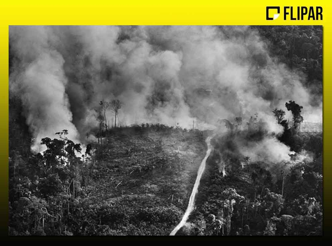 Por meio do Instituto Terra, associação civil sem fundos lucrativos, Sebastião Salgado e a mulher Lélia promovem há mais de duas décadas ações voltadas à preservação do meio-ambiente. 
 Reprodução: Flipar