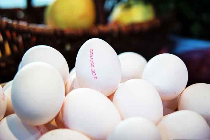 Quando alguém come 40 ovos em um dia, está consumindo cerca de 240 gramas de proteína. A dieta funciona bem no caso de quem busca um alto rendimento. Reprodução: Flipar