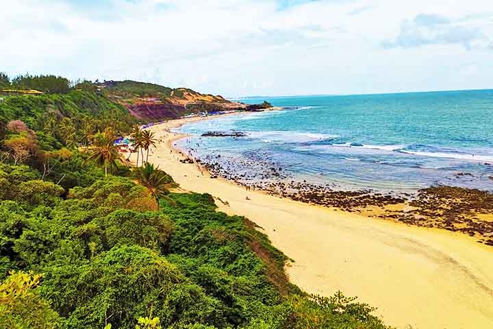 Esses “cemitérios” de lixo trazem prejuízos ao turismo, dada a poluição das praias, e representam riscos para as espécies animais que vivem nessas áreas. 
 Reprodução: Flipar