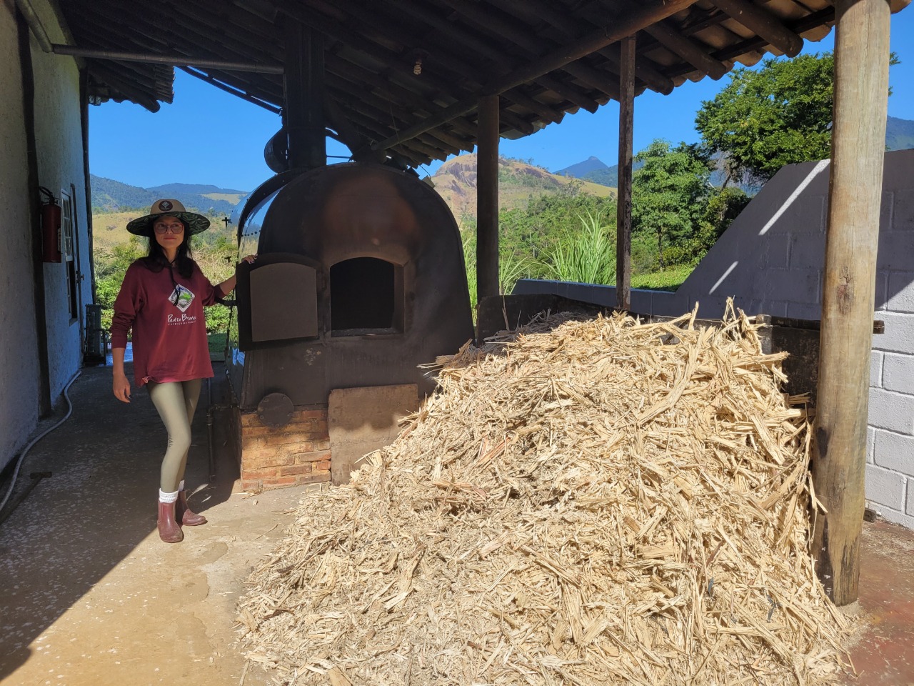 Os restos da cana-de-açúcar são reutilizadas para fazer adubo. Foto: Miguel Trombini/iG Turismo