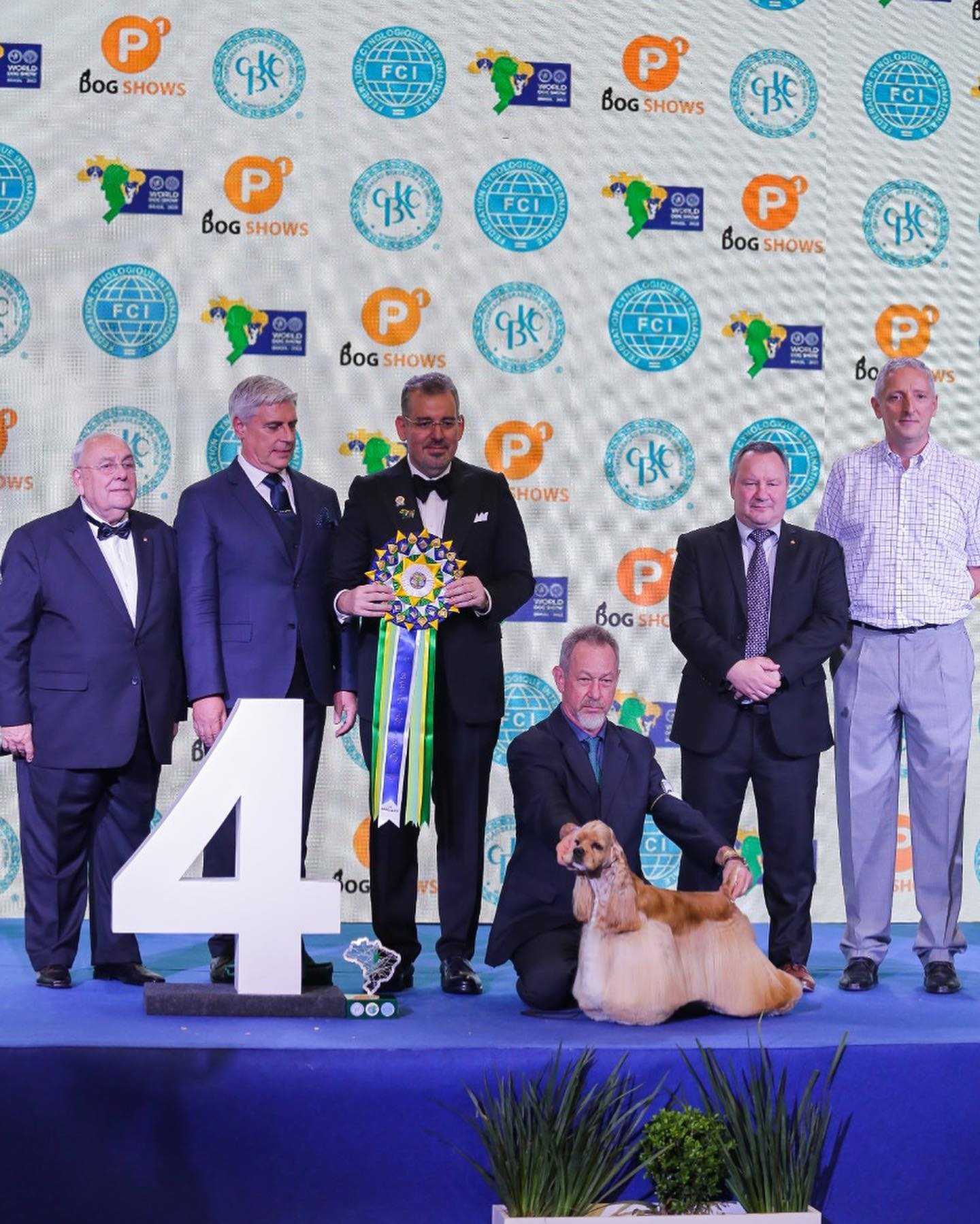 Shih-tzu brasileira é a grande vencedora da premiação 'Melhor Cão