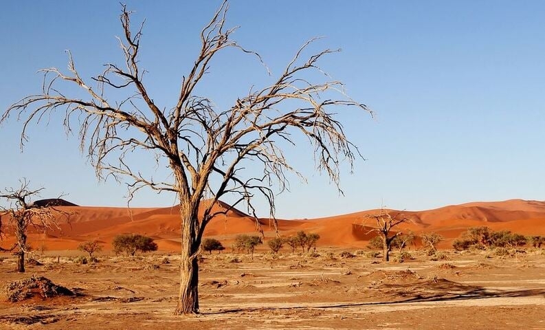  6º Deserto do Kalahari  (930.000 km²) -Abrange partes de Angola, Botsuana, Namíbia e África do Sul. Fica numa depressão para onde flui a bacia do Calaári. Tem dunas avermelhadas e vegetação xerófila (adaptada à aridez). Reprodução: Flipar