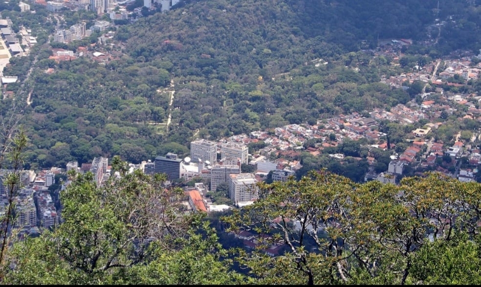 O Jardim Botânico do Rio de Janeiro foi inaugurado em 1808 e é um dos espaços verdes mais bem preservados da cidade. Ocupa uma área de 54 hectares no bairro de mesmo nome, na zona sul do Rio. Reprodução: Flipar