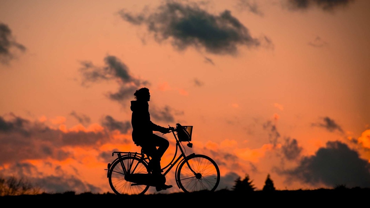 15 de abril é Dia Mundial do Ciclista. Pedalar é um exercício saudável e uma forma de transporte limpa e prática, cultivada em muitos países desenvolvidos.  Reprodução: Flipar