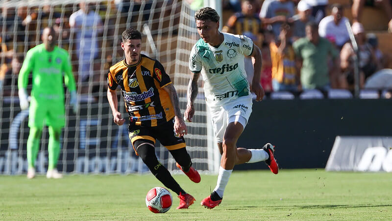 Palmeiras