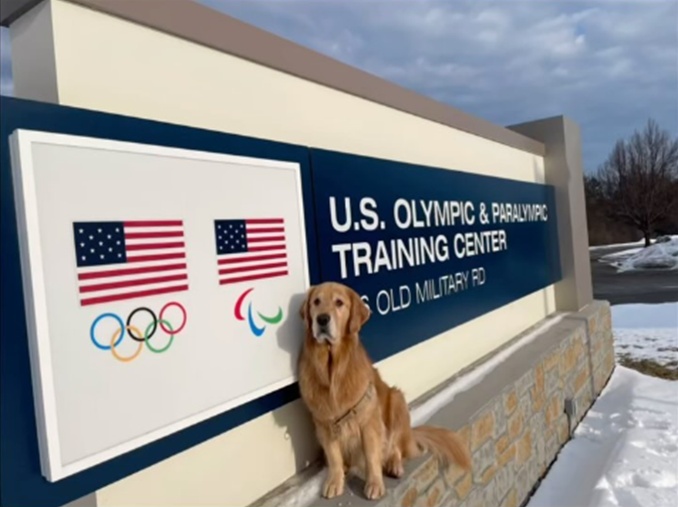 Beacon, golden Retriever de 4 anos, deu suporte à equipe de ginastas dos Estados Unidos durante testes para as Olímpiadas de Paris Reprodução/Instagram