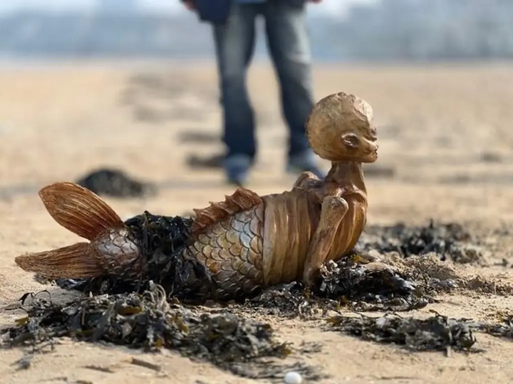 O ser misterioso tinha uma estrutura óssea visível, uma cabeça cadavérica e uma cauda semelhante à de um peixe, lembrando uma sereia macabra.. Foto: Paula Regan / SWNS