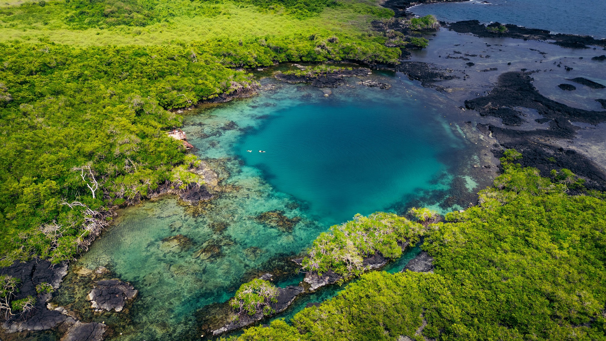 Ilha do Arquipélago de Galápagos. Foto: Divulgação / Unesco