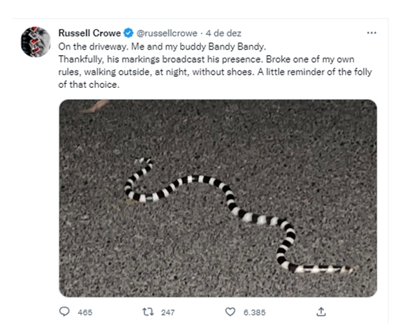 O ator quase tropeçou em uma serpente venenosa enquanto caminhava à noite do lado de fora de sua casa, na Austrália. Ele até compartilhou uma foto da cobra nas redes sociais. Reprodução: Flipar