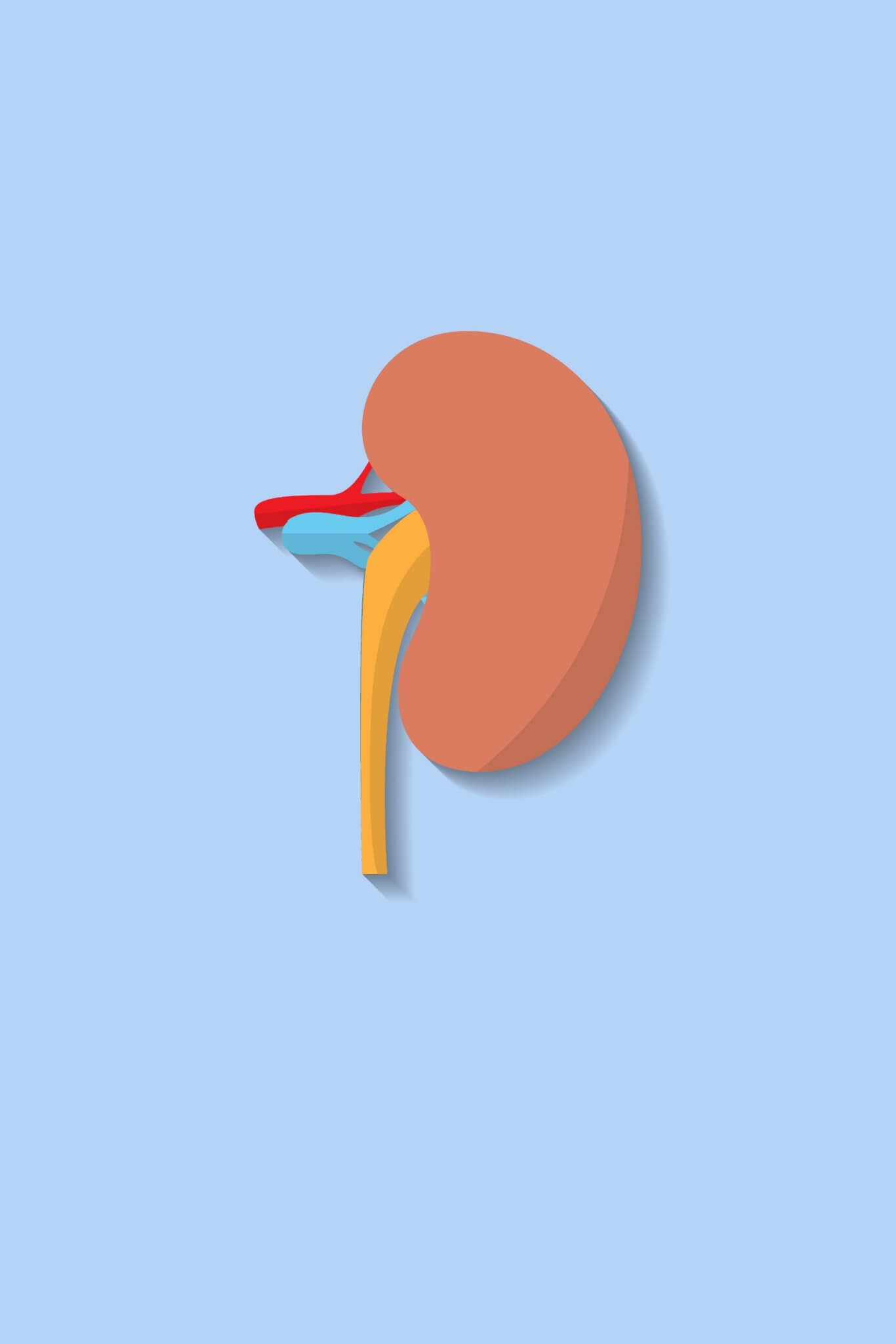 6. Problemas nos rins A médica nefrologista e intensivista Dra. Caroline Reigada explica que o diabetes é uma doença extremamente inflamatória, em que a quantidade exagerada de glicose no sangue é capaz de provocar a hiperfiltração do sangue nos rins. Reprodução: EdiCase