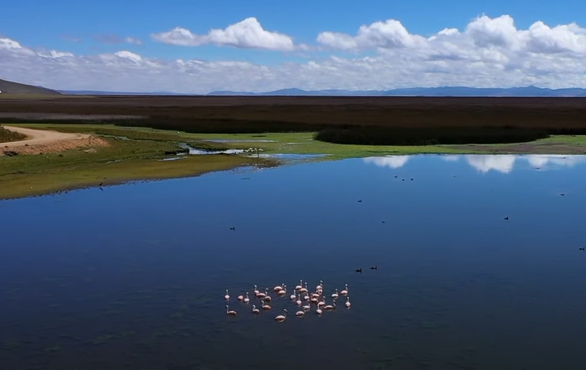Situado na região andina do Peru, o Lago Junín é o segundo maior lago do país, atrás apenas do Titicaca (veja adiante). Com uma vasta área de pântanos, é um importante habitat para aves aquáticas e outras espécies endêmicas. Reprodução: Flipar