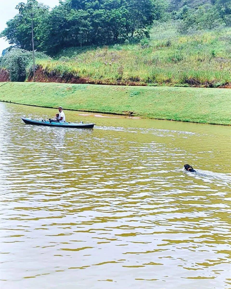 Baiano nadando atrás da canoa de Bruno Gagliasso. Foto: Reprodução/Instagram