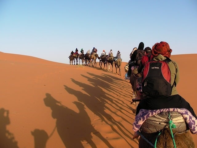 3º Deserto do Saara (9.100.100 km²) - Maior deserto quente do mundo, com a imagem típica do que as pessoas veem como deserto, seco e arenoso. O Saara abrange 11 países: Marrocos, Argélia, Tunísia, Líbia, Egito, Sudão, Chade, Níger, Mali, Mauritânia e Saara Ocidental. Reprodução: Flipar