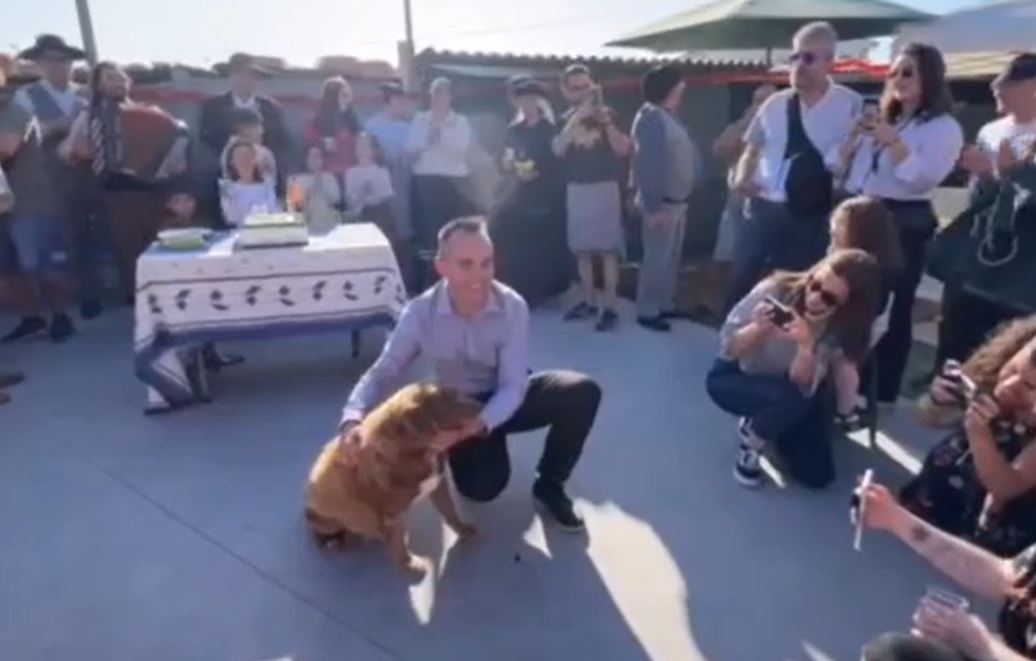 Leonel, que costumava celebrar os aniversários do pet, fez uma legítima festa portuguesa e recebeu até convidados de outros países no 31º ano de vida do cão. 