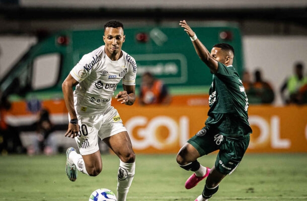 18º Goiás - 35 pontos - Zero chance de título, zero chance de Libertadores, 84,8% risco de rebaixamento