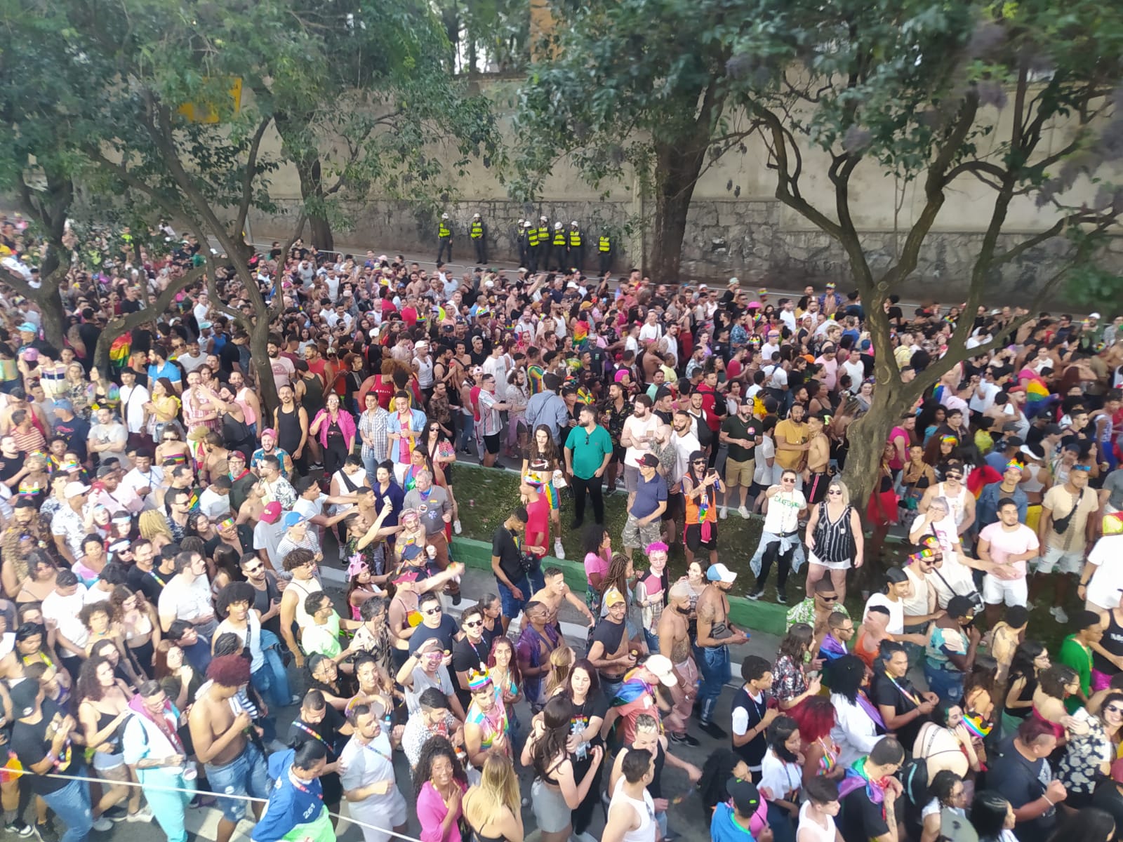 Multidão ocupa os dois lados da Rua da Consolação, região central de São Paulo