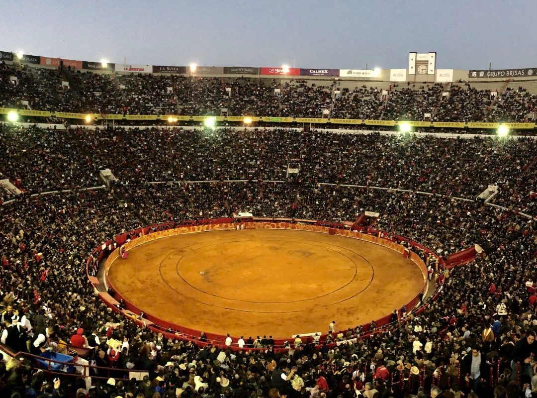 No dia 30/01, o Tribunal Federal da Cidade do México decidiu por uma nova suspensão das touradas que acontecem na Câmara Municipal de Benito Juárez. Reprodução: Flipar