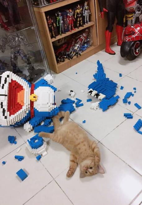 Gato destruiu boneco feito com 2.432 peças de Lego . Foto: Reprodução Facebook