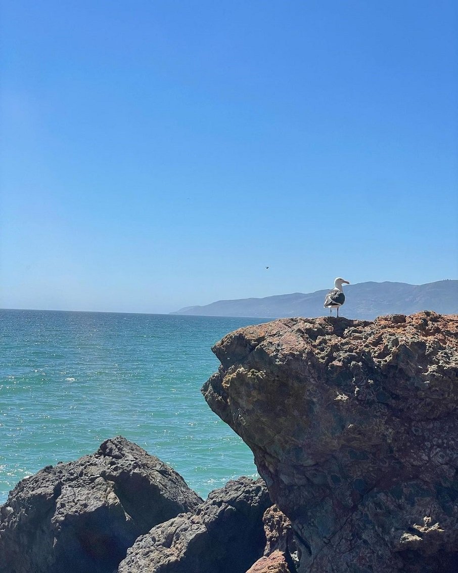 Vista para do Point Dume para o Oceano Pacífico, em Malibu, na Califórnia (EUA). Foto: Reprodução/Instagram 21.07.2023