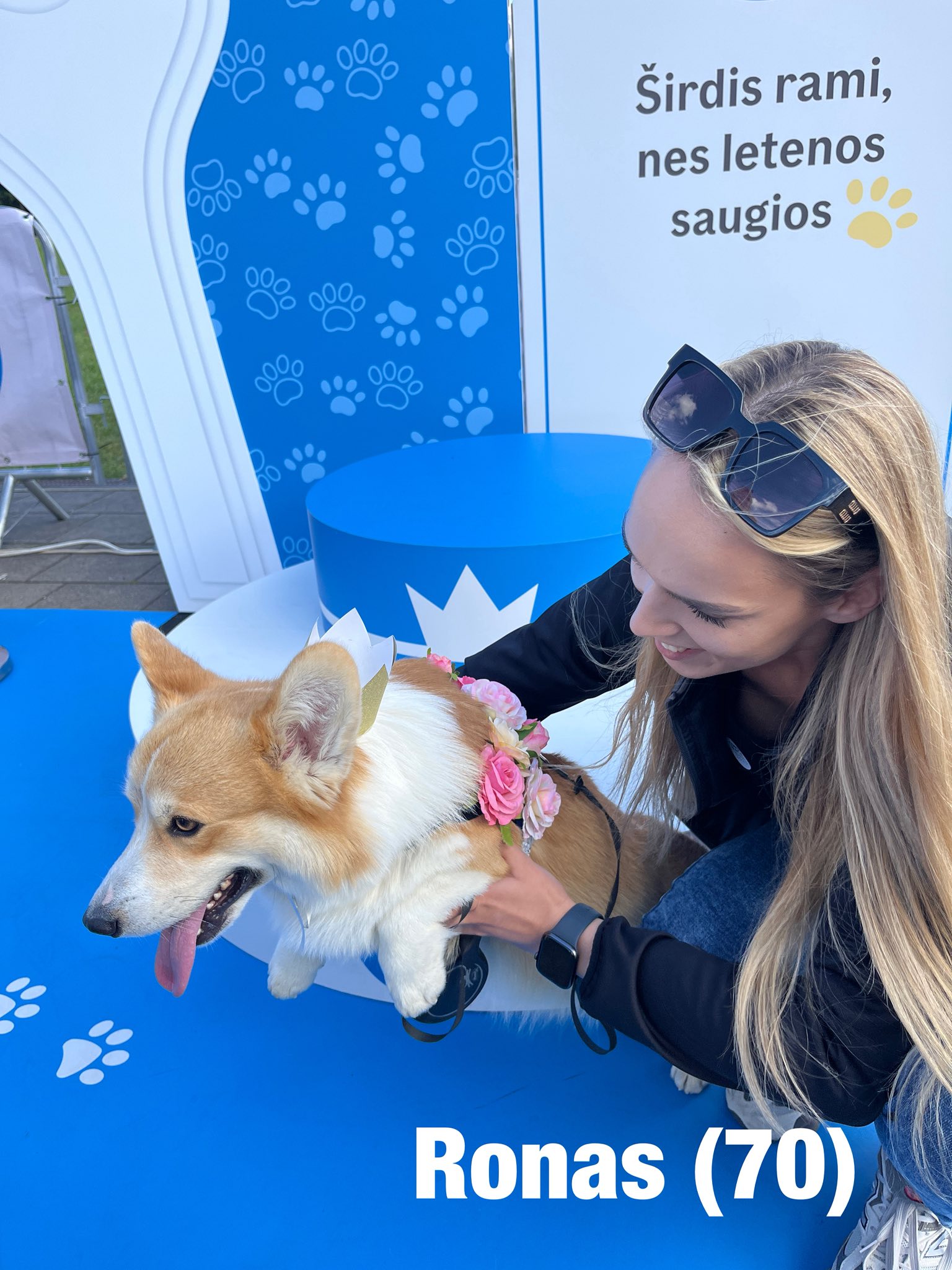 Corrida de Corgis reúne competidores fantasiados na Lituânia. Foto: Facebook/Corgi Race Vilnius