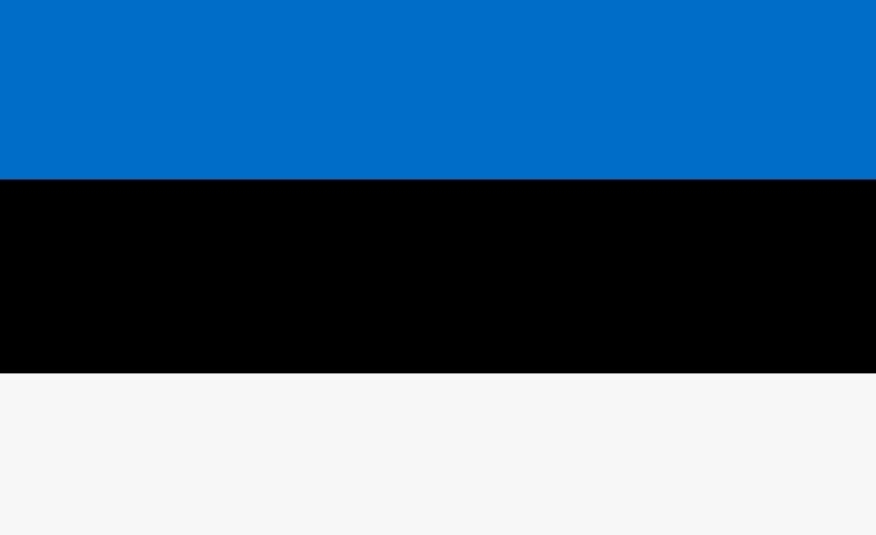 Estônia - Em junho de 2023, tornou-se o primeiro país da antiga União Soviética a legalizar o  casamento homossexual. A nova lei dividiu opiniões, mas foi aprovada com 55 dos 101 votos no Parlamento. 
 Reprodução: Flipar