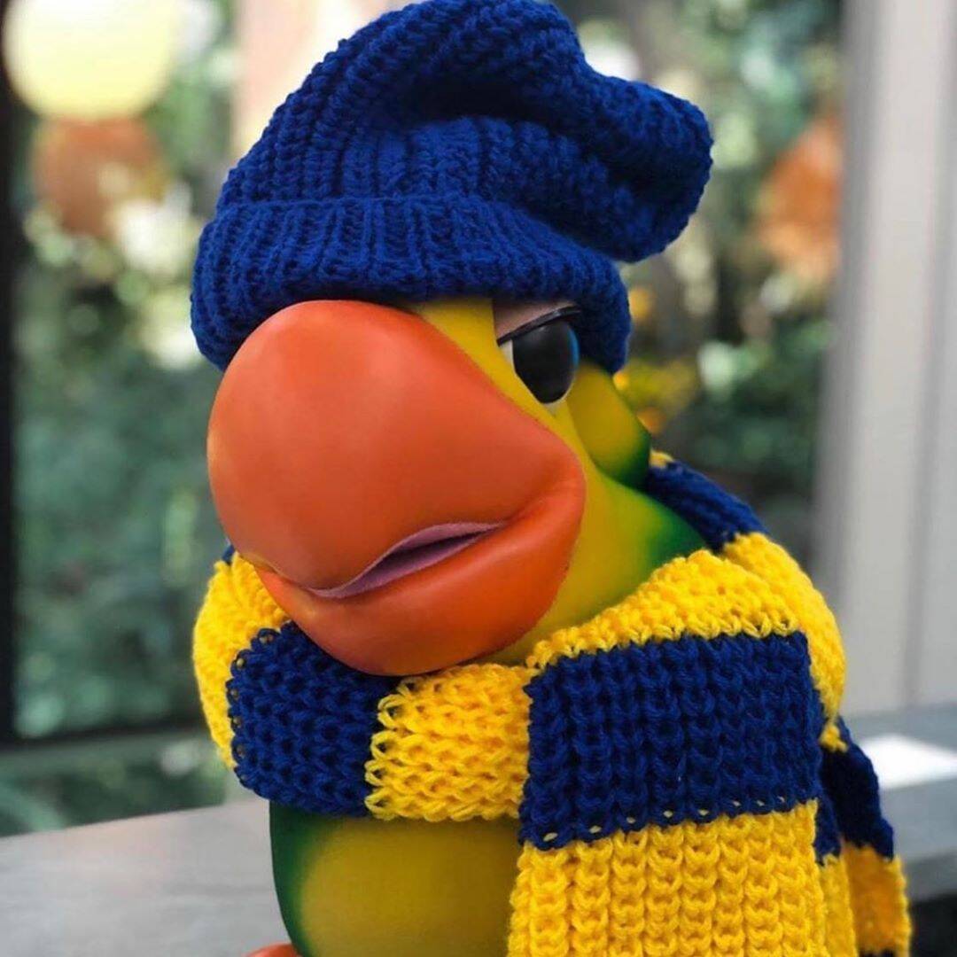 Louro José. Foto: Instagram