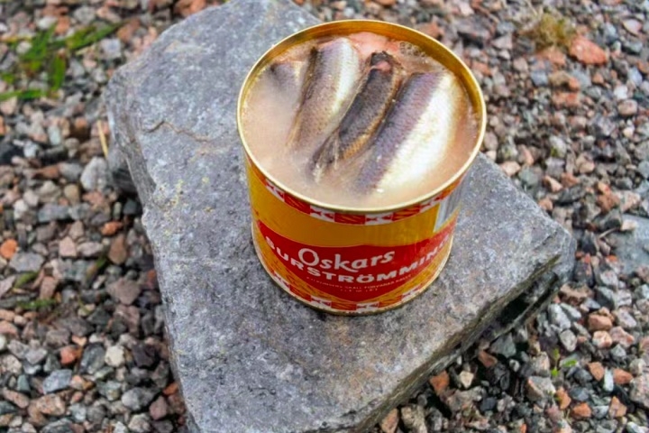 Pratos – arenque e tofu fermentados: Dois pratos frequentemente disputam o título de comida mais malcheirosa do mundo: o surströmming (foto), da Suécia, e o tofu-fedorento, de Taiwan. Reprodução: Flipar
