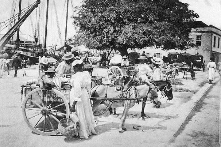 A história dos ônibus começou no início do século 19, quando surgiram os primeiros veículos de transporte coletivo puxados por cavalos. Reprodução: Flipar