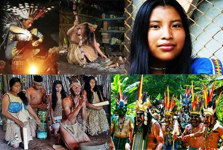 Costa Rica: Comunidades indígenas, como Bribri e Cabécar, habitam territórios protegidos nas montanhas e florestas. Embora a população indígena seja pequena, suas tradições espirituais e ecológicas são altamente valorizadas. Há esforços para recuperar línguas e culturas que sofreram com o processo de assimilação. Reprodução: Flipar