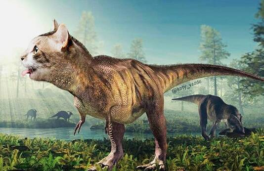 O instagram busca juntar corpos de animais com rosto de gatos de maneira hilária. Foto: Reprodução/ Instagram