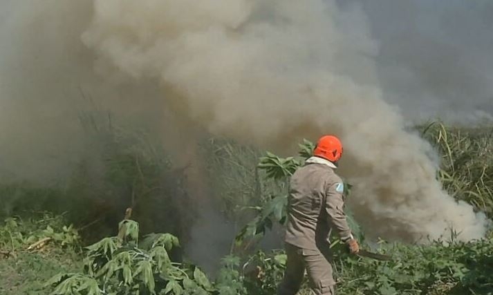 Os bombeiros enfrentaram dificuldade para o combate às chamas, em meio à fumaça densa que se espalhou pela área. .