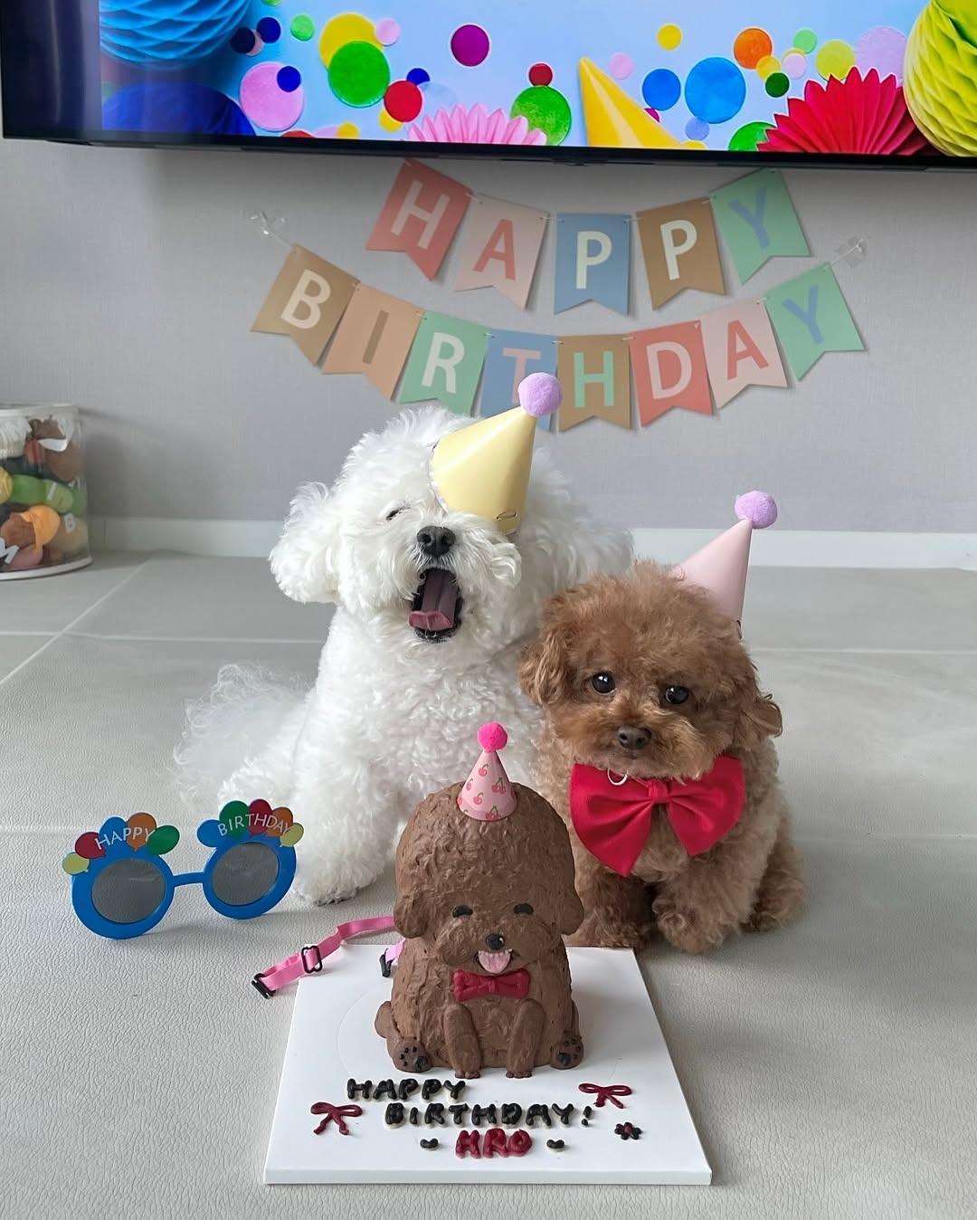 Aro ganhou festa de aniversário. Foto: Reprodução Instagram @arang2o_o