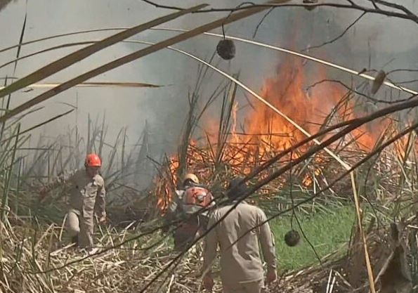 Um incêndio atingiu o Parque Estadual Encontro das Águas, que fica entre os municípios de Barão de Melgaço e Poconé, em Mato Grosso.