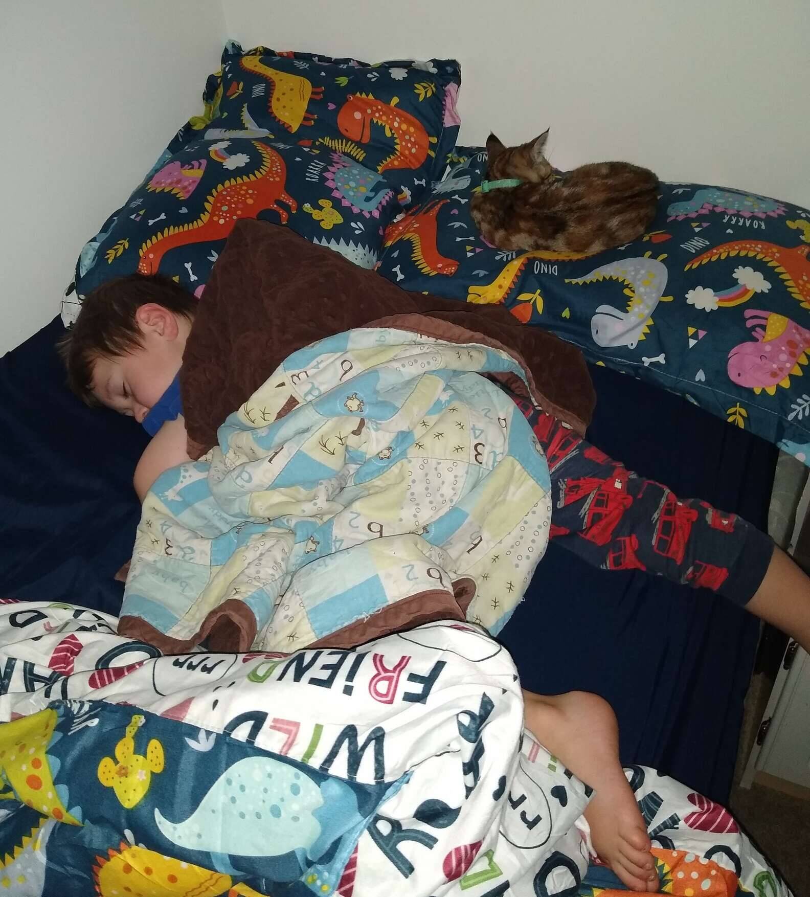 Sis dormindo ao lado do filho de 4 anos. Foto: Arquivo/Jeni Koyle