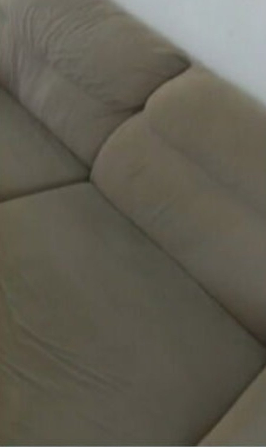 Essa história viralizou em 2023, o FLIPAR mostrou e agora relembra como alerta. Uma moradora de Joinville, em Santa Catarina, comprou um sofá usado e teve uma surpresa. Reprodução: Flipar