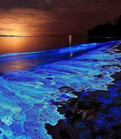 Mosquito Bay - Localizada na ilha de Vieques, em Porto Rico, essa baía é famosa pela bioluminescência. O fenômeno é produzida pelo Pyrondium bahamense, organismo unicelular que brilha ao ser agitado.

 Reprodução: Flipar