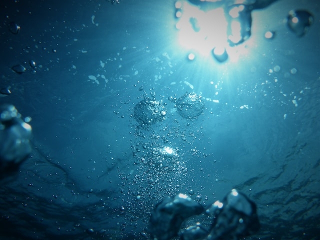 Pressão: No fundo do oceano, a pressão pode ser mil vezes maior do que na superfície. As criaturas que vivem lá desenvolveram adaptações incríveis para sobreviver nesse ambiente extremo. Reprodução: Flipar