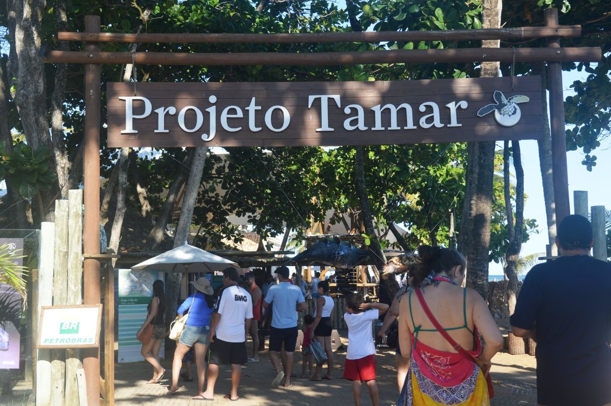 Projeto Tamar - São João da Mata - BA. Foto: Divulgação - Mtur