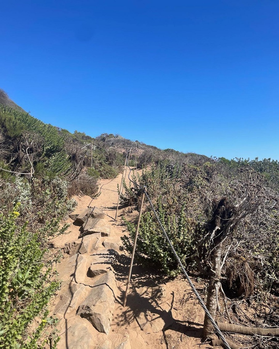 A trilha de areia que leva ao Point Dume, em Malibu, na Califórnia (EUA). Foto: Reprodução/Instagram 21.07.2023