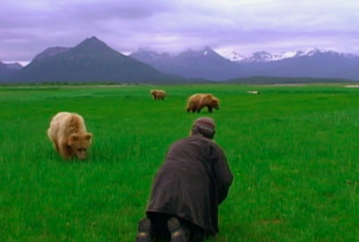 Treadwell dedicou os últimos 13 verões de sua vida a estudar e documentar os ursos marrons no Parque Nacional Katmai, no Alasca. Reprodução: Flipar