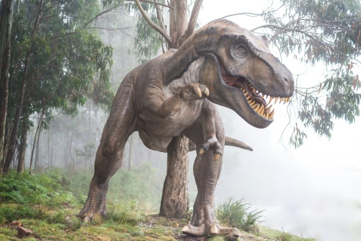 Um estudo recente da revista Science Advances sugere que os dinossauros não foram extintos exclusivamente devido ao impacto de um meteorito, como muito já se falou.  Reprodução: Flipar