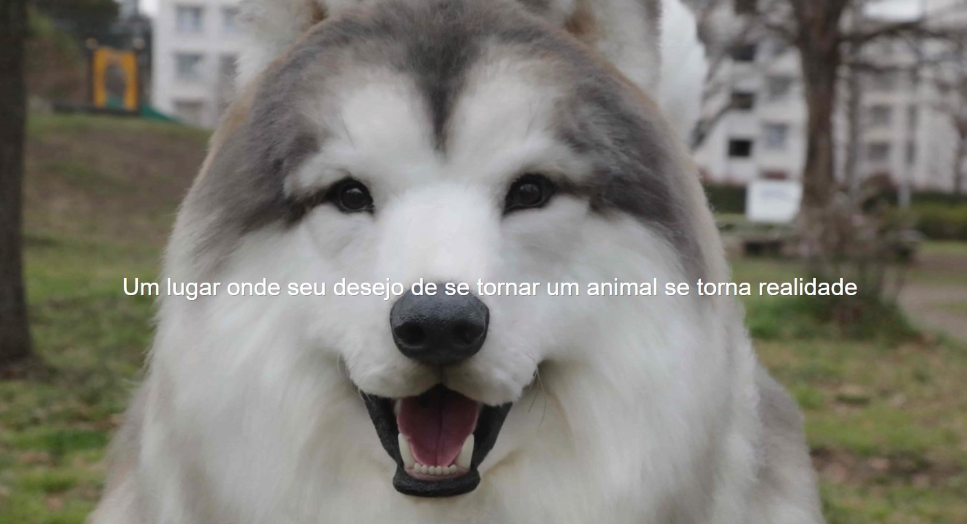 Após ter declarado ao canal de notícias WanQol que estava reconsiderando a decisão de viver como cão, Toko, o homem-cachorro do Japão, inaugurou em 26/01 o “TocoTocoZoo”, um “zoológico” em que as pessoas podem viver a experiência de encarnar algum animal por algumas horas. 
 Reprodução: Flipar