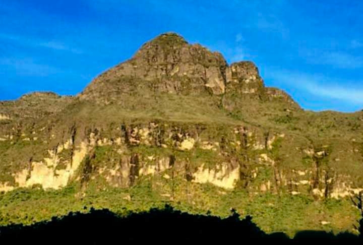 “Eu fui atrás de um cantor, comecei a cavar com o Leandro, e depois de alguns minutos fazendo playback um animal pulou, quando estávamos quase desistindo”, relatou Fouquet, em entrevista ao Jornal da USP.  Reprodução: Flipar